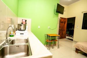 奎波斯城Apartamento Aliga 1的厨房设有水槽和绿色的墙壁