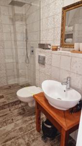 特尔古-塞奎斯Villa Westfalia Guest House的一间带水槽和卫生间的浴室