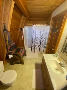 德里格斯Pet Friendly Darby Barn in Teton Valley的浴室配有卫生间、盥洗盆和淋浴。