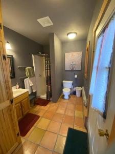 德里格斯Pet Friendly Darby Barn in Teton Valley的浴室配有卫生间、盥洗盆和淋浴。