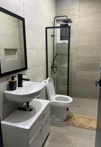 努尔德Paraguana Inn的浴室配有卫生间、盥洗盆和淋浴。