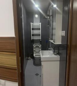 博尔若米Guest House Nana的一间带水槽和卫生间的小浴室