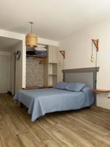 蒙得维的亚Cálido Home en corazón Ciudad Vieja的一间卧室配有一张带蓝色棉被的床