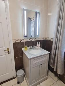 Mountmellick布里埃尔度假屋的一间带水槽和镜子的浴室