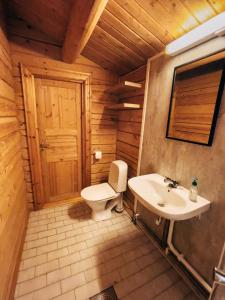 勒罗斯Ryen Hytteutleie - Cottages的一间带卫生间和水槽的浴室