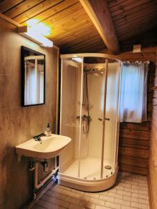勒罗斯Ryen Hytteutleie - Cottages的带淋浴和盥洗盆的浴室