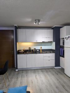 圣地亚哥Habitación amplia en Santiago c3ntro的厨房配有白色橱柜和蓝色的墙壁