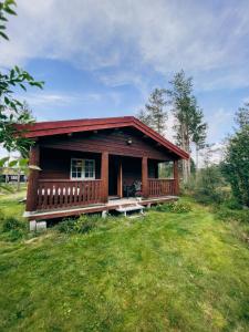 勒罗斯Ryen Hytteutleie - Cottages的绿色田野上带门廊的小小木屋