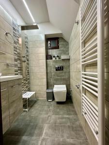 埃拉蒂特里卡隆Lagos Apartment的一间带卫生间和水槽的浴室