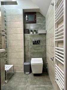 埃拉蒂特里卡隆Lagos Apartment的一间带卫生间和水槽的浴室