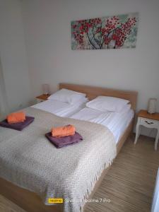 奥格雷Senlejas Apartamenti的一间卧室配有两张床,床上配有毛巾