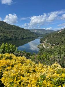 里巴多鲁Quinta Vale do Cabo的享有河流的黄色鲜花美景