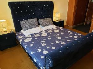 伊斯兰堡Family Apartment No 2 ISB F-11的一间卧室配有一张带蓝色被子的床和两盏灯。