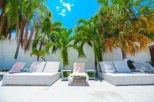 坎昆帕拉多尔酒店的庭院里设有两把躺椅和棕榈树