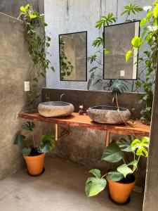 帕拉库鲁Villa Parazinho的浴室设有2个水槽和盆栽植物