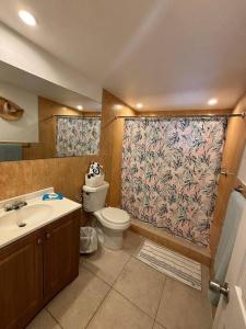 迈阿密Quiet & Centrally located House的一间带卫生间和淋浴帘的浴室
