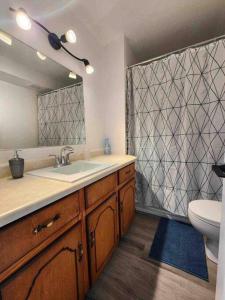 康沃尔Freshly Renovated 2 bedroom unit的一间带水槽、卫生间和镜子的浴室