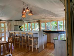 纳纽基Olesamara Collection的厨房设有酒吧、椅子和窗户