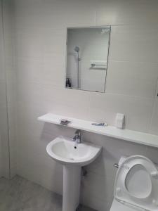 釜山Ara Guesthouse的一间带水槽、镜子和卫生间的浴室