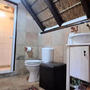 乔治Prospect Farm Cottages的一间带卫生间和水槽的浴室