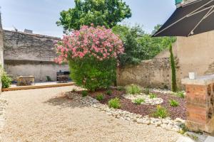 卡尔卡松TRIBUS-GITES URBAINS CARCASSONNE的一座花园,花园内种有粉红色的花卉和石墙