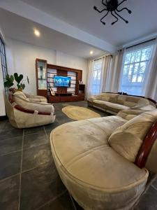 阿鲁沙Homestay in Arusha Wanderful Escape的带沙发和平面电视的客厅