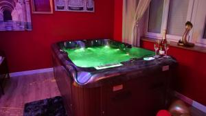 加来Spa Le Rubis d'Orient的红色房间中的热水浴缸,带有绿色的游泳池