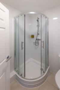 圣彼得港潘多拉酒店的浴室里设有玻璃门淋浴