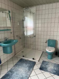 格雷沃斯米伦Ferienhaus - a90588的带淋浴、盥洗盆和卫生间的浴室