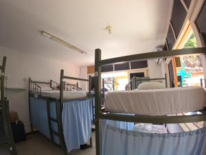 萨尔瓦多Nomads Hostel Multicultural & Coworking的带窗户的客房内的两张双层床