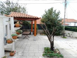 戈韦阿Casa dos Quatro Irmãos的庭院中一个带桌子和树的亭子