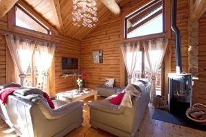 莱德萨阿尔卑斯Odalys Chalet Leslie Alpen 2的客厅配有两把椅子和壁炉
