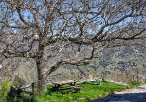 圭哈尔谢拉La Casa del Nogal的围栏旁树下的野餐桌