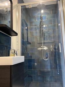 沃明斯特Luxury stay Kings Annexe 5 minutes from Longleat的浴室设有蓝色瓷砖淋浴。