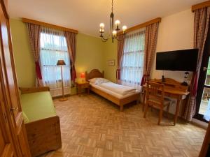 Warth斯坦恩舒乐霍夫酒店的一间卧室配有一张床、一张书桌和一台电视。