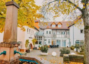 WeilerbachHotel zur Schlemmerscheune的前面有喷泉的房子