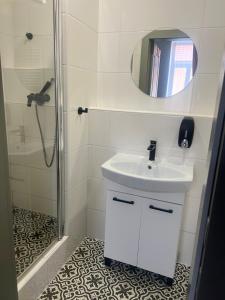 多尼杜纳约维采Penzion Lederer的浴室配有盥洗盆和带镜子的淋浴