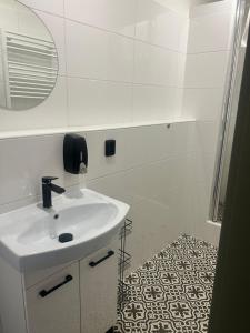 多尼杜纳约维采Penzion Lederer的白色的浴室设有水槽和镜子
