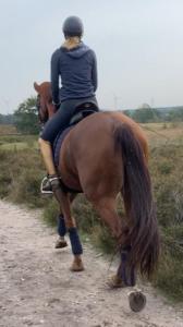 宗奥芬Vakantiewoning 'De Teut'的骑着马沿着土路的女人
