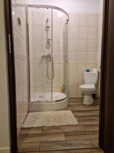 切哈努夫SAWAGO Mieszkania blisko centrum的带淋浴和卫生间的浴室