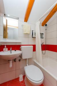 Gornje SeloHouse Ancica的一间带卫生间和水槽的浴室