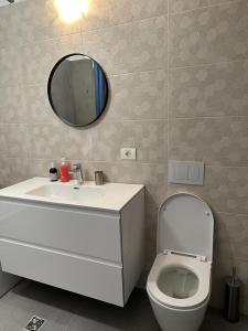 雷希察City Center Accommodation - 308的一间带水槽、卫生间和镜子的浴室