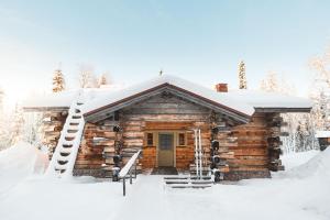 RovaniemiVaattunki Wilderness Resort的小木屋,屋顶上积雪