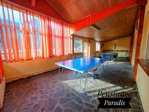 布什泰尼Pensiunea Paradis的带窗户的客房内的乒乓球桌
