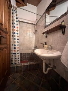 阿拉霍瓦Diminio 2 Whole House - Chalet的一间带水槽和淋浴的浴室