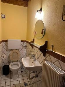 阿拉霍瓦Diminio 2 Whole House - Chalet的一间带卫生间、水槽和镜子的浴室