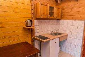 多布奇采Noclegi-Dobczyce的厨房配有水槽和台面