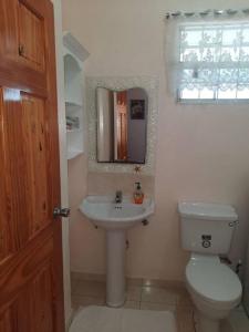 布里奇敦Joyville的一间带卫生间、水槽和镜子的浴室