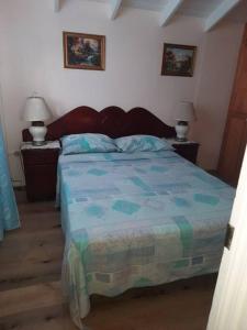 布里奇敦Joyville的一间卧室配有一张带蓝色被子的床和两盏灯。
