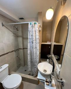 乌斯怀亚Ushuaia_aparts Depto 1的浴室配有卫生间、盥洗盆和淋浴。